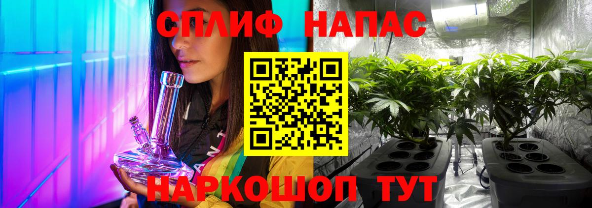 Бердск  МАРИХУАНА VHQ  Шишки марихуана план  Марихуана White Widow  Бошки Шишки THC 21%  Вход с VPN 